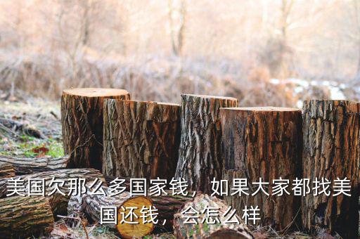 美國(guó)欠其他國(guó)家多少錢,美國(guó)欠那么多國(guó)家錢