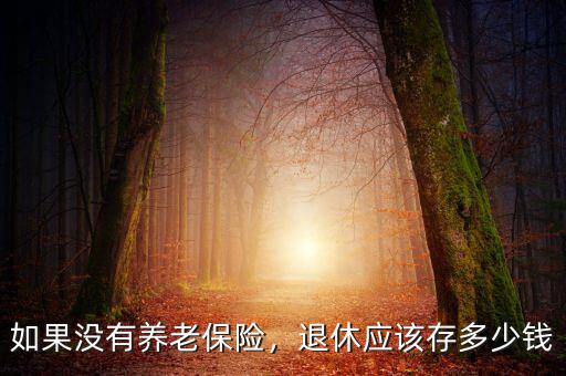 如果沒(méi)有養(yǎng)老保險(xiǎn)，退休應(yīng)該存多少錢(qián)