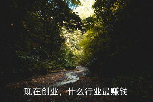 現(xiàn)在創(chuàng)業(yè)，什么行業(yè)最賺錢