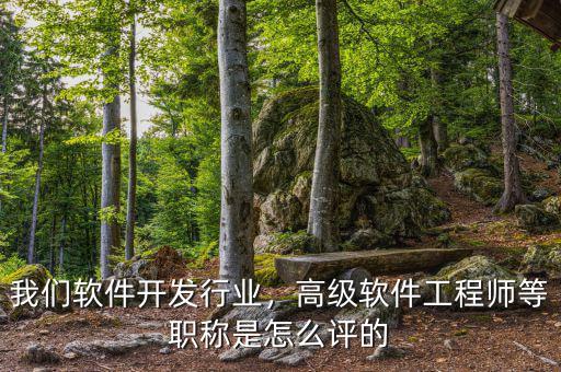 我們軟件開發(fā)行業(yè)，高級軟件工程師等職稱是怎么評的