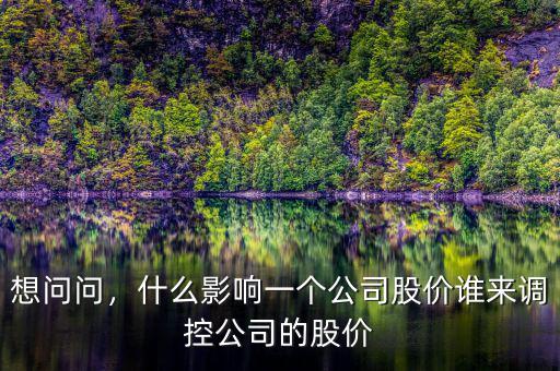 想問(wèn)問(wèn)，什么影響一個(gè)公司股價(jià)誰(shuí)來(lái)調(diào)控公司的股價(jià)