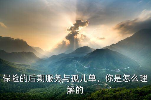保險的后期服務(wù)與孤兒單，你是怎么理解的