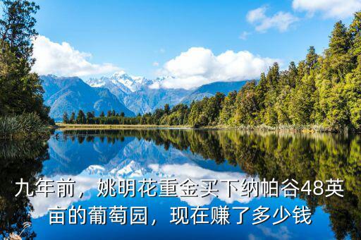 九年前，姚明花重金買下納帕谷48英畝的葡萄園，現(xiàn)在賺了多少錢