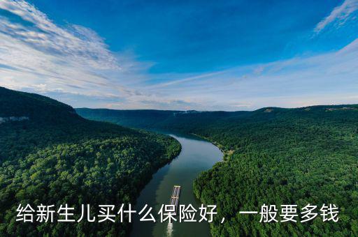 給新生兒買什么保險好，一般要多錢