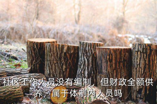 社區(qū)工作人員沒有編制，但財(cái)政全額供養(yǎng)，屬于體制內(nèi)人員嗎