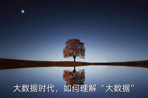 大數(shù)據(jù)時代，如何理解“大數(shù)據(jù)”