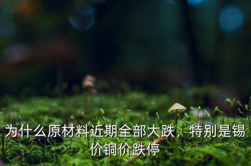 為什么原材料近期全部大跌，特別是錫價銅價跌停