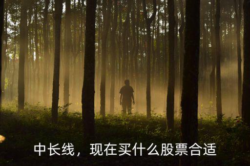中長(zhǎng)線，現(xiàn)在買(mǎi)什么股票合適