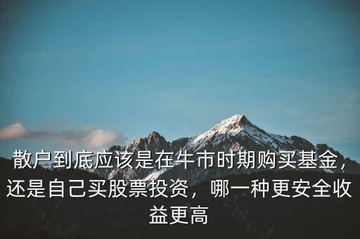 散戶到底應該是在牛市時期購買基金，還是自己買股票投資，哪一種更安全收益更高