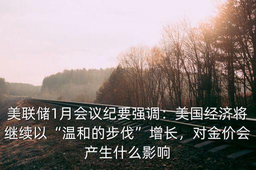美聯(lián)儲1月會議紀要強調：美國經濟將繼續(xù)以“溫和的步伐”增長，對金價會產生什么影響