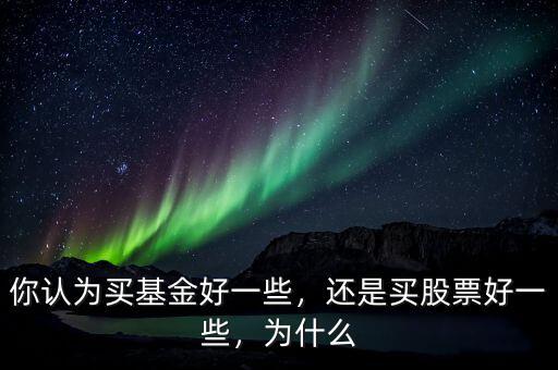 你認為買基金好一些，還是買股票好一些，為什么
