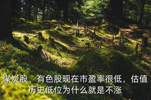 煤炭股、有色股現在市盈率很低，估值歷史低位為什么就是不漲