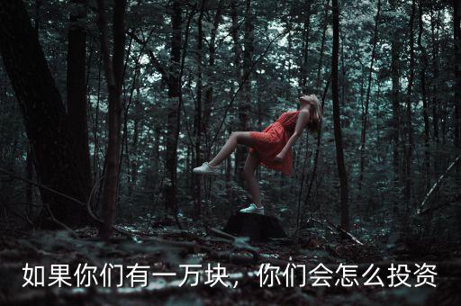 如果你們有一萬(wàn)塊，你們會(huì)怎么投資