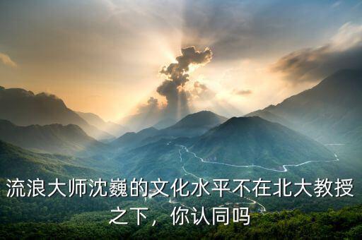 流浪大師沈巍的文化水平不在北大教授之下，你認(rèn)同嗎