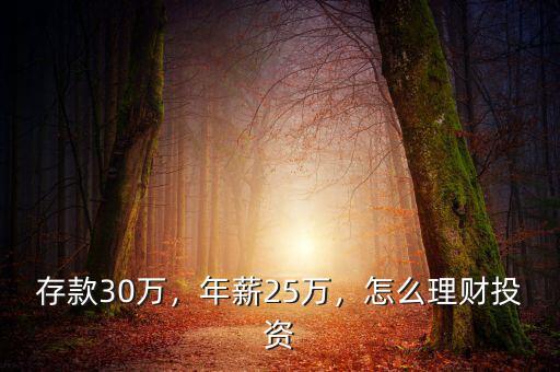 存款30萬，年薪25萬，怎么理財投資