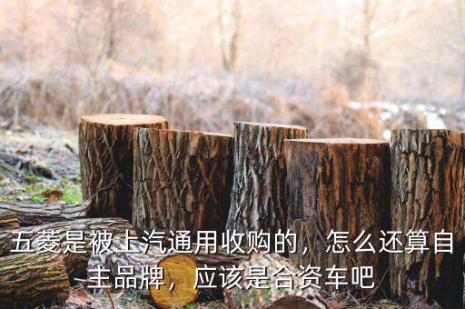 五菱是被上汽通用收購的，怎么還算自主品牌，應(yīng)該是合資車吧