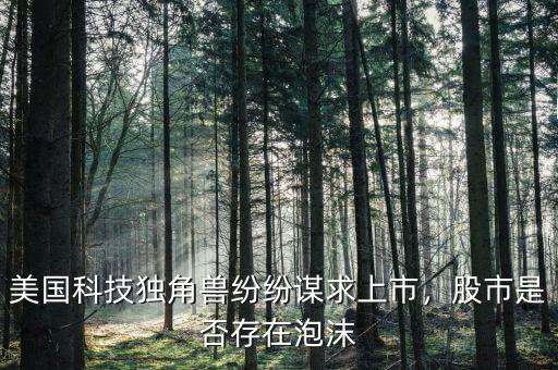 美國科技獨角獸紛紛謀求上市，股市是否存在泡沫