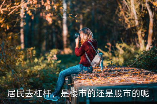 居民去杠桿，是樓市的還是股市的呢