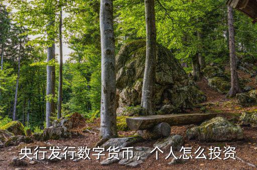 央行發(fā)行數(shù)字貨幣，個人怎么投資