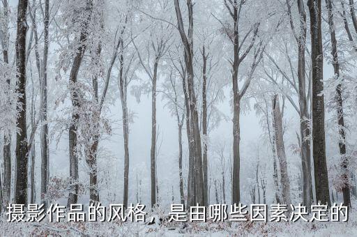 攝影作品的風(fēng)格，是由哪些因素決定的