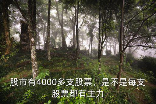 股市有4000多支股票，是不是每支股票都有主力