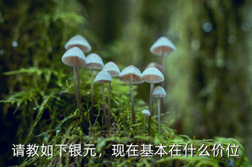 請教如下銀元，現在基本在什么價位