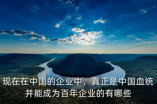 現(xiàn)在在中國的企業(yè)中，真正是中國血統(tǒng)并能成為百年企業(yè)的有哪些