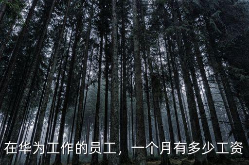 在華為工作的員工，一個(gè)月有多少工資