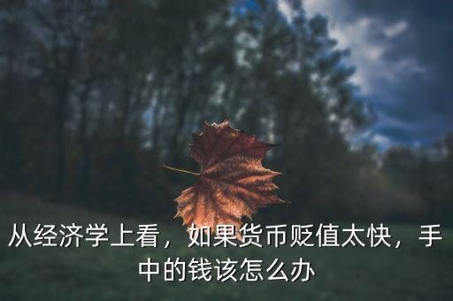 從經(jīng)濟(jì)學(xué)上看，如果貨幣貶值太快，手中的錢該怎么辦
