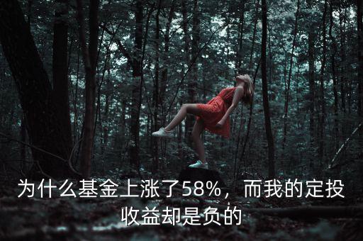 為什么基金上漲了58%，而我的定投收益卻是負的