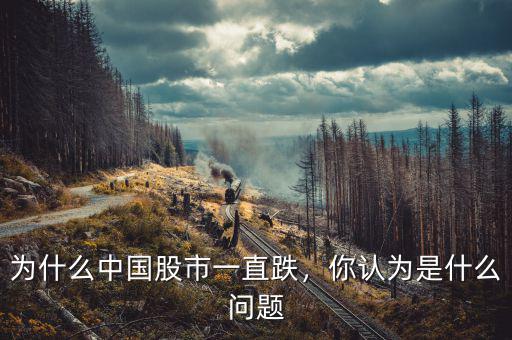 為什么中國股市一直跌，你認為是什么問題