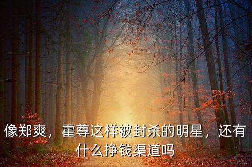 像鄭爽，霍尊這樣被封殺的明星，還有什么掙錢渠道嗎