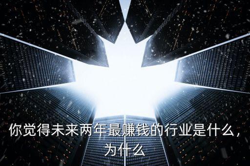 你覺得未來兩年最賺錢的行業(yè)是什么，為什么