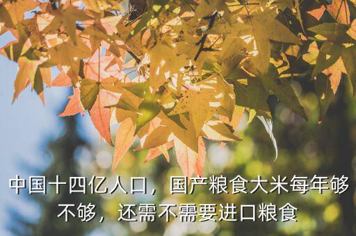 中國十四億人口，國產(chǎn)糧食大米每年夠不夠，還需不需要進(jìn)口糧食
