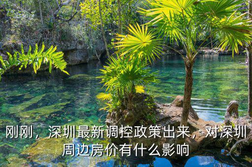 剛剛，深圳最新調(diào)控政策出來，對深圳周邊房價有什么影響