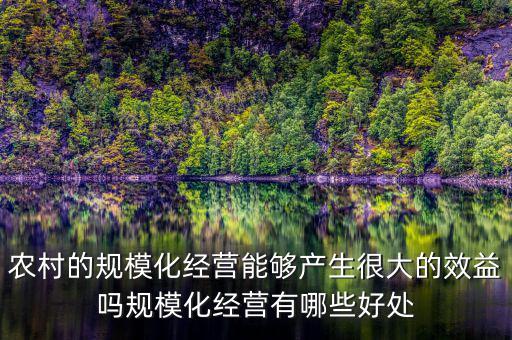 農(nóng)村的規(guī)?；?jīng)營能夠產(chǎn)生很大的效益嗎規(guī)?；?jīng)營有哪些好處