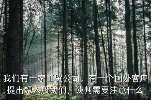 我們有一家工貿(mào)公司，有一個(gè)國(guó)外客戶提出想入股我們，談判需要注意什么