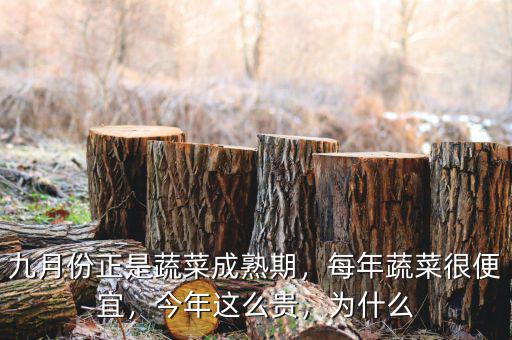 九月份正是蔬菜成熟期，每年蔬菜很便宜，今年這么貴，為什么