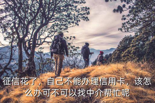 征信花了，自己不能辦理信用卡，該怎么辦可不可以找中介幫忙呢