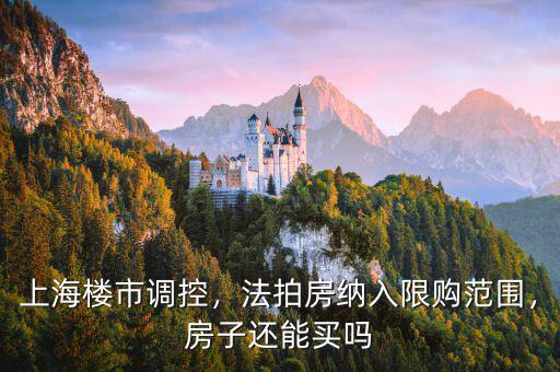 上海樓市調(diào)控，法拍房納入限購范圍，房子還能買嗎