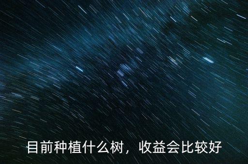 目前種植什么樹，收益會比較好