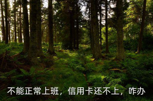 不能正常上班，信用卡還不上，咋辦