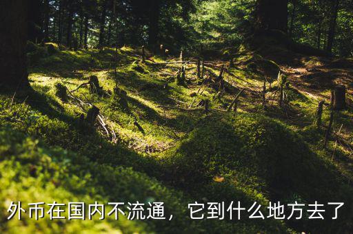 外幣在國(guó)內(nèi)不流通，它到什么地方去了