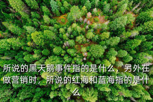 所說(shuō)的黑天鵝事件指的是什么，另外在做營(yíng)銷時(shí)，所說(shuō)的紅海和藍(lán)海指的是什么