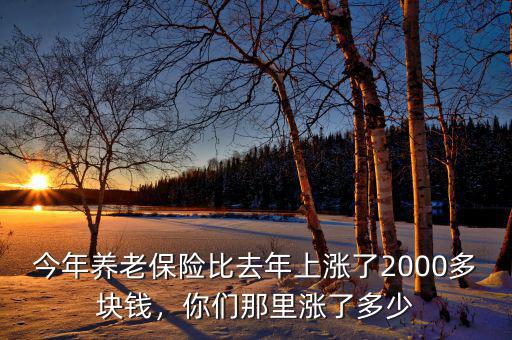 今年養(yǎng)老保險(xiǎn)比去年上漲了2000多塊錢(qián)，你們那里漲了多少