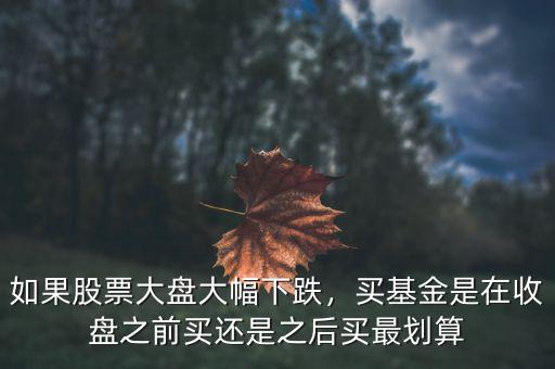 如果股票大盤(pán)大幅下跌，買(mǎi)基金是在收盤(pán)之前買(mǎi)還是之后買(mǎi)最劃算