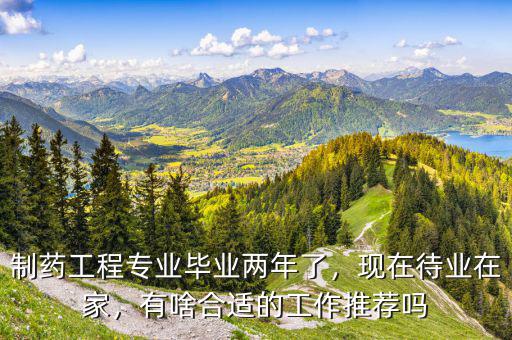 制藥工程專(zhuān)業(yè)畢業(yè)兩年了，現(xiàn)在待業(yè)在家，有啥合適的工作推薦嗎