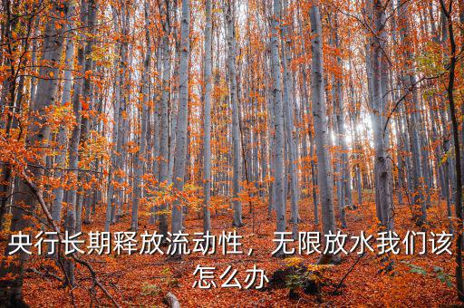 央行長(zhǎng)期釋放流動(dòng)性，無(wú)限放水我們?cè)撛趺崔k