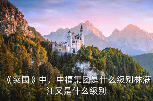 《突圍》中，中福集團(tuán)是什么級(jí)別林滿江又是什么級(jí)別
