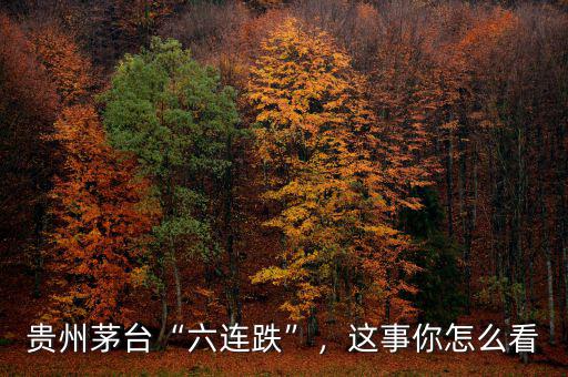 貴州茅臺(tái)“六連跌”，這事你怎么看